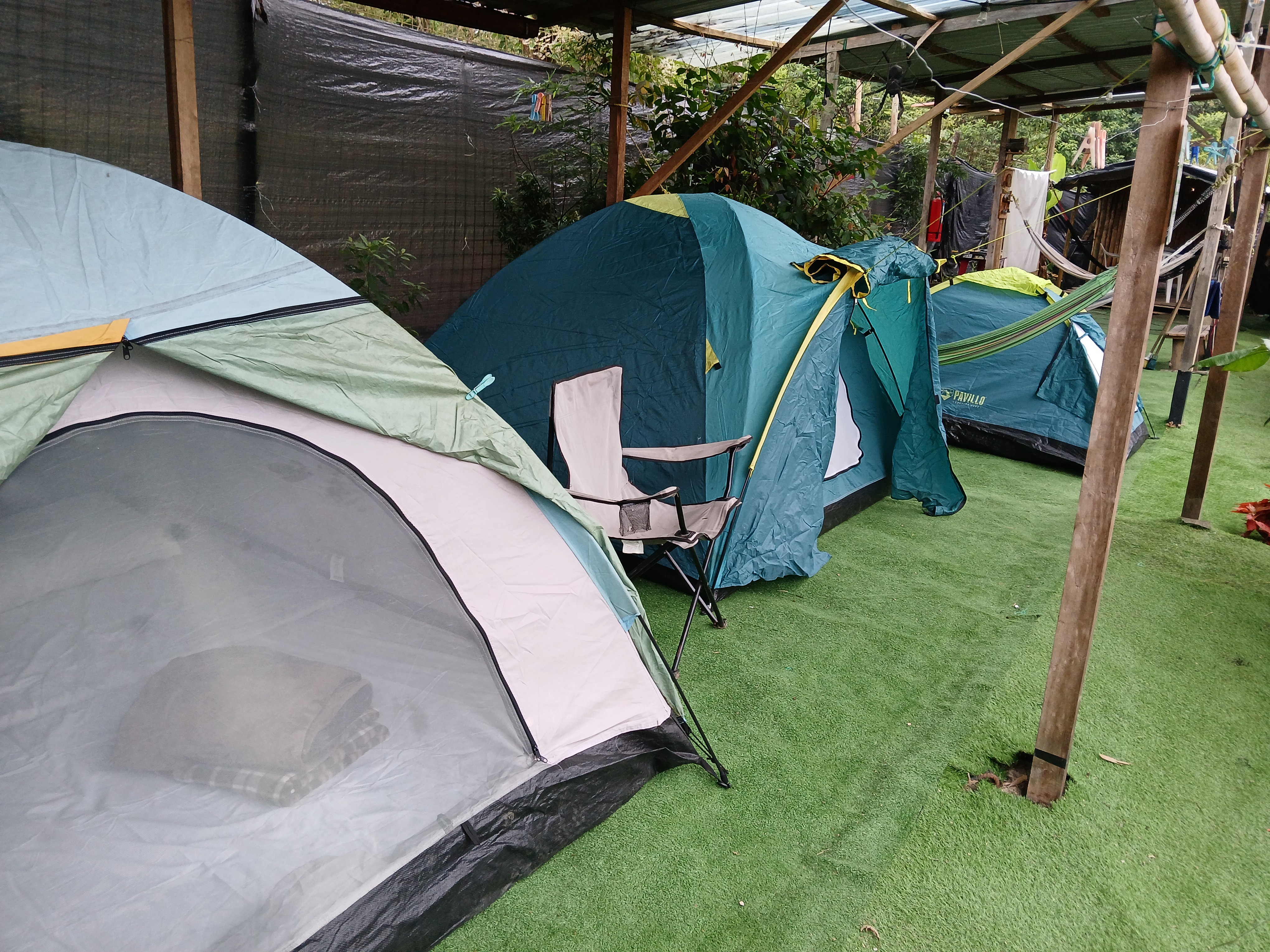 Logoipo de Colembas Wasi. Usa una tipografía asemejando el bambú y un pájaro.