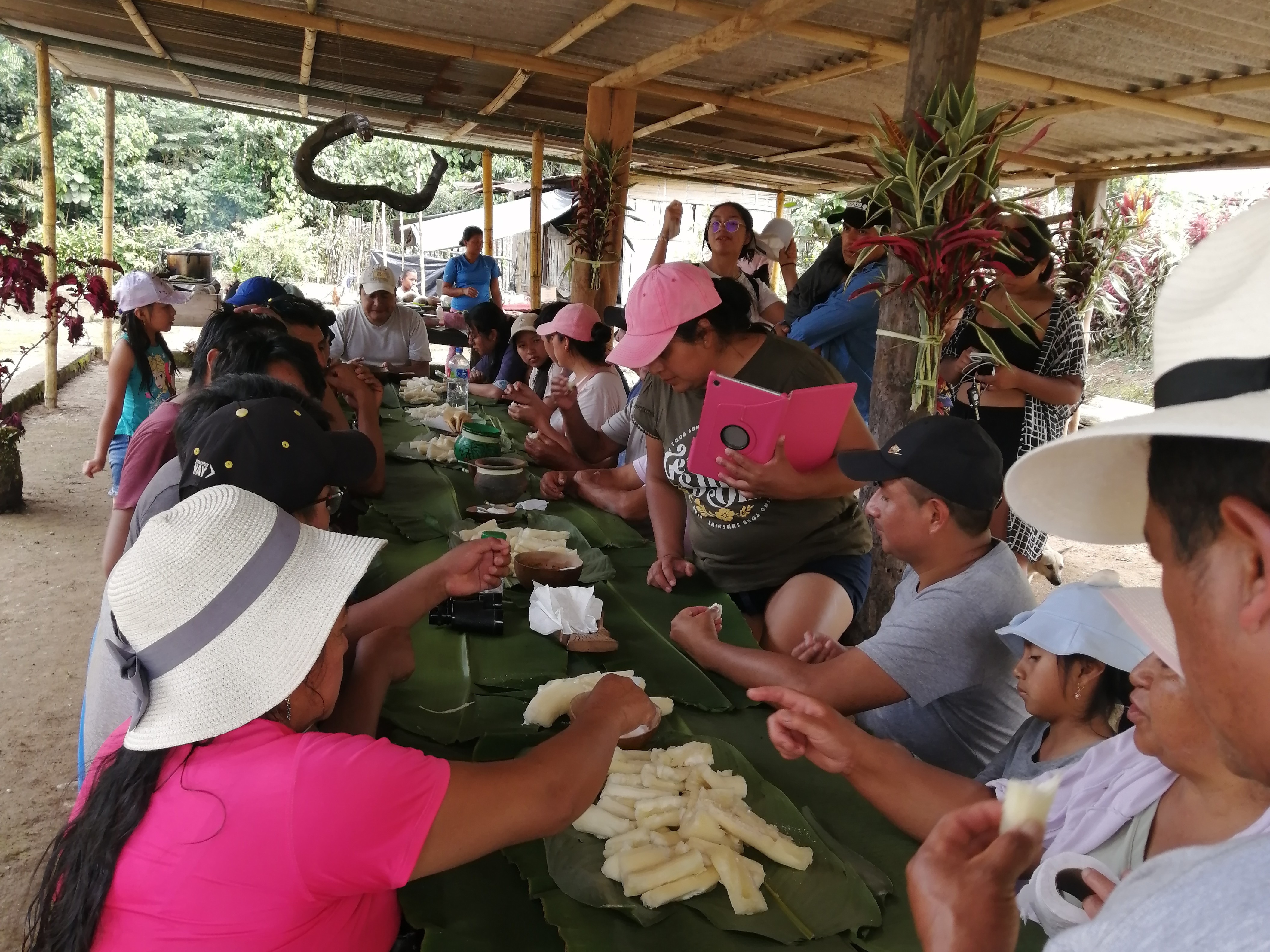 Logoipo de Colembas Wasi. Usa una tipografía asemejando el bambú y un pájaro.